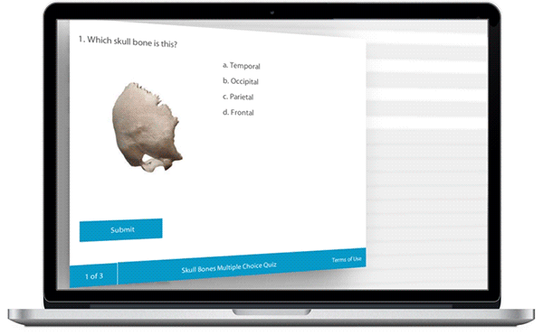 Graded quizzes in Visible Body Courseware make it easy to track student progress