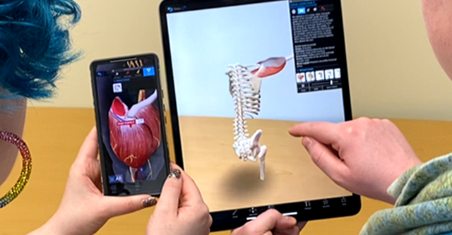 Students using augmented reality to study muscle actions