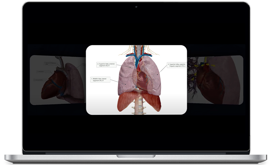 flashcard-mobile-image-laptop